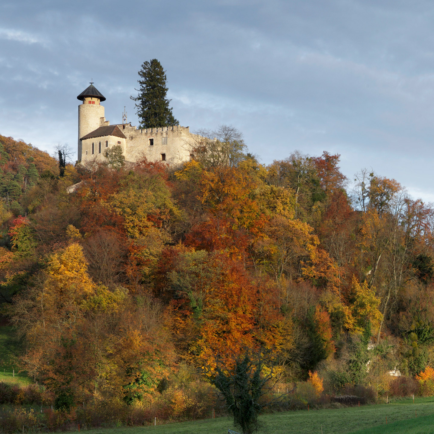https://ermitage-arlesheim.ch/sites/default/files/21_schloss_birseck.jpg